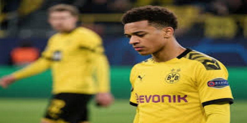 赛后反应与欧洲杯备战展望-华体会体育