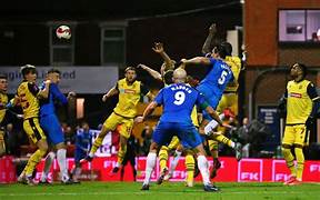 技术突破与未来展望-华体会体育