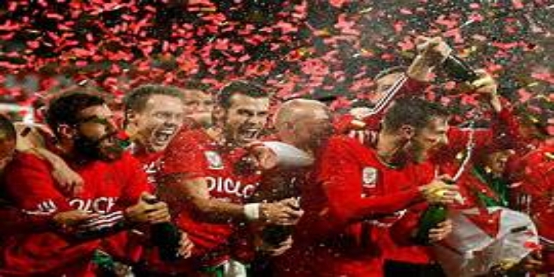 淘汰赛前景：对阵丹麦的关键战-华体会体育